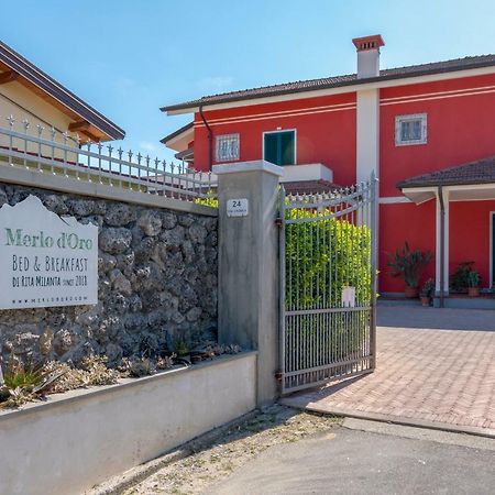 Merlo D'Oro Carrare Extérieur photo