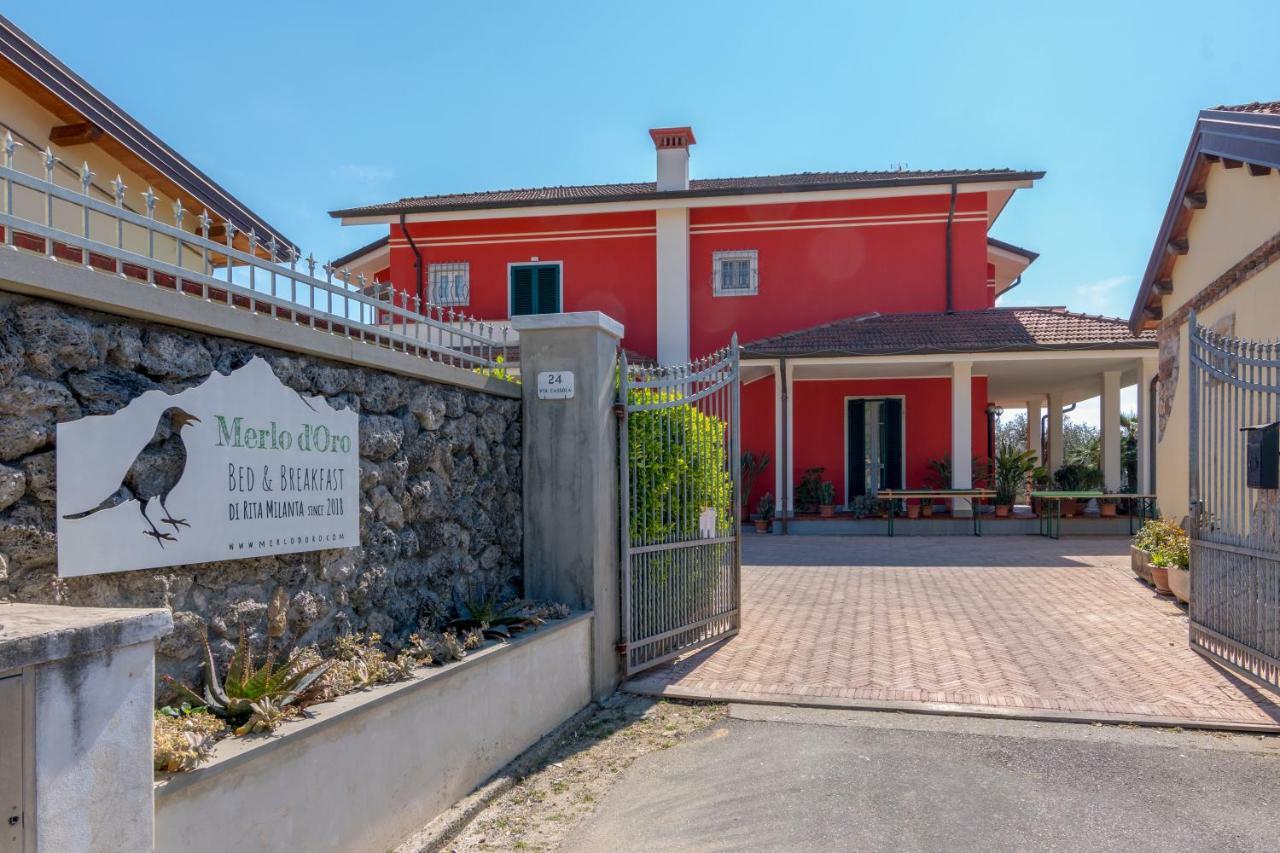 Merlo D'Oro Carrare Extérieur photo
